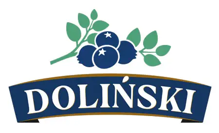 Doliński